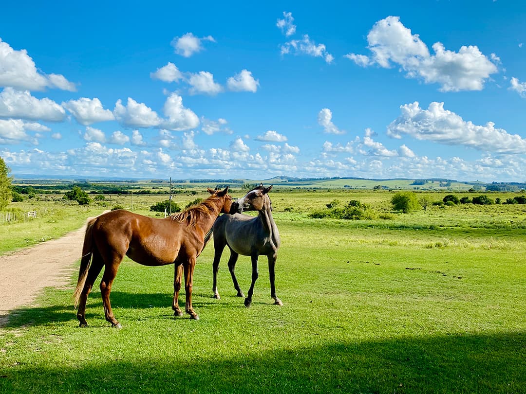 Saubere Luft, gesunde Umgebung